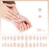 E&A Press On Nails - French Tips| UV Finish Short