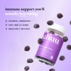 Chuu Nutrition 99% Sugar Free Elderberry and Echinacea Immune System