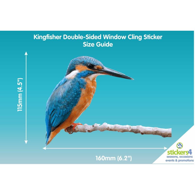 4 x Kingfisher Bird Window Stickers for Glass - Double