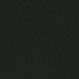 Marine Outdoor Bass/Pontoon Boat Carpet/16 oz (Black, 6'x16')