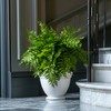 Bailikang 4PCS Artificial Boston Fern Fake Ferns Hanging Plant UV