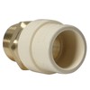 2 Pack XFITTING CPVC Transition Coupling | 3/4" CPVC x