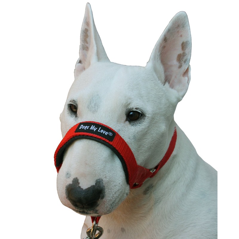 Dog Head Collar Halter Red 6 Sizes (S: 6.5"-8.25" Snout)