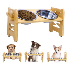 Cat Bowls Elevated Dog Bowls with Stand Adjustable Raised Dog Bowl for Small Medium Size Dogs Cats Food Feeding Station