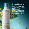 Aveda Shampure Body Lotion Loción Hidratante