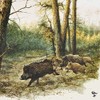 20 Napkins Wild Boar in the Forest as Table Decoration for Autumn with Animal Motif 33 x 33 cm
