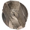 DEWALT DW5424 5/16-Inch by 4-Inch by 6-Inch ROCK CARBIDE SDS