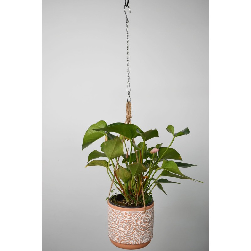 Chain for Hanging Plants,11 Inch Silver Hanging Chain, Small Hanging