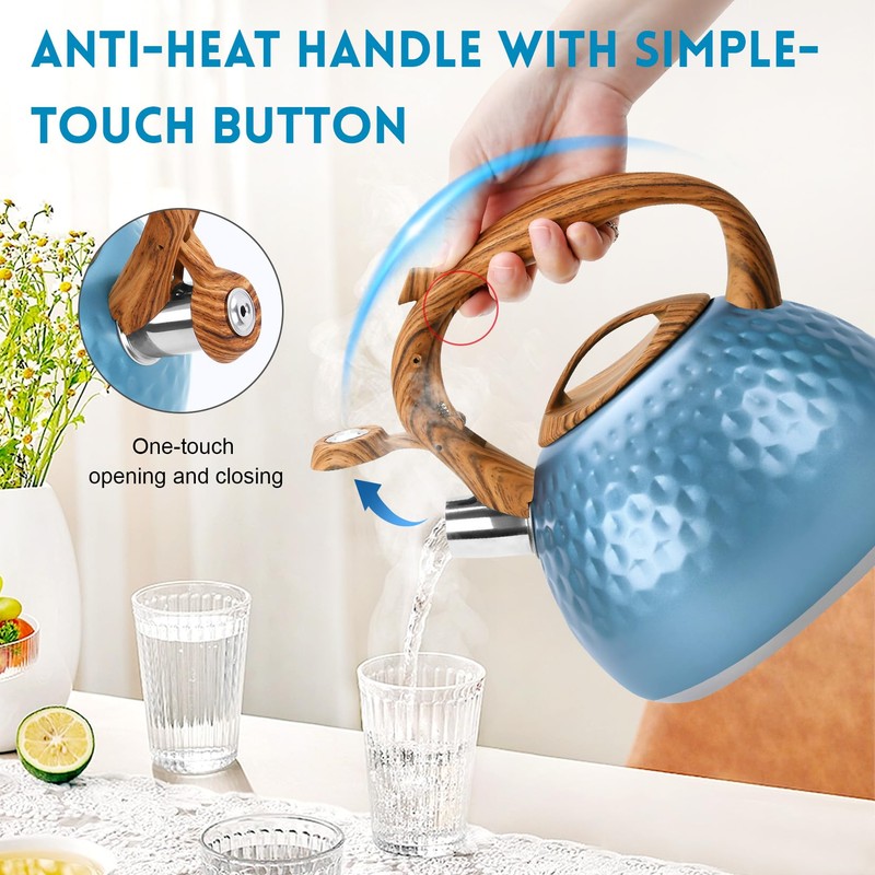 GGC Tea Kettle for Stove Top, Loud Whistling Kettle for