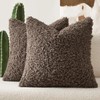EMEMA Pack of 2 Teddy Faux Fur Throw Pillow Covers
