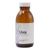 Productos Mart Mexico Extracto Natural De Uva Materia Cosmética 250ml