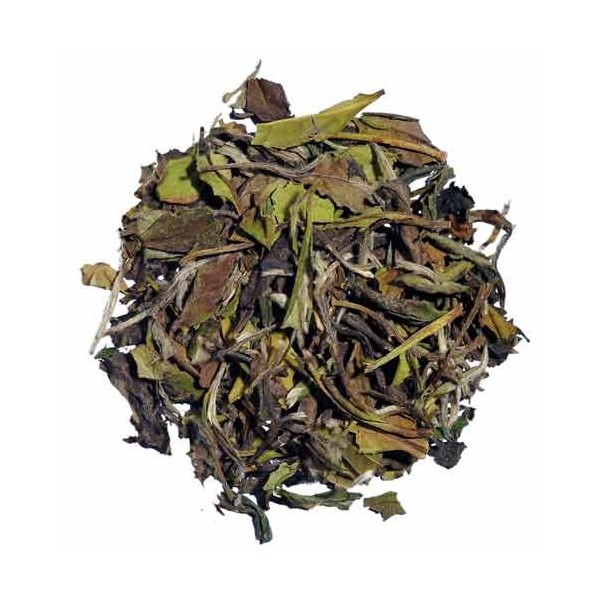 Loose Organic Tea - Pai Mu Tan White Tea - 8oz