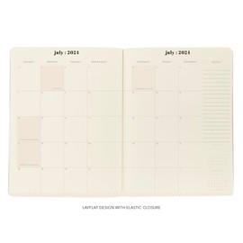 Graphique 2025 Monthly Planner | 18 Month Organizer, July 2024 – Dec. 2025 | Monthly Calendar & Notes Spreads | Marked Holidays | Checkered Design | 8” x 10”