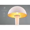 lightling Carina LED Table Lamp Metal Modern Light Indoor IP20