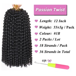 Samtress 12 Inch Passion Twist Hair 2 Packs Water Wave Passion Twists Crochet Braids Natural Black Bohemian Curly Braiding Hair for Butterfly Locs, Faux Locs Crochet Hair Extensions for Women (#1B)