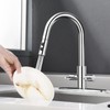 PAKING Kitchen Faucet, Two Handles Sink Faucet with Sprayer, Stainless