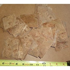Carpathian Elm Burl Wood Veneer Sample Pack of 60 Pieces raw with no Back 1/42"