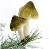 Mushroom Clip Ornaments - Set of 3 Woodland Mushroom Decorations