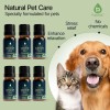 PURSONIC Pet Friendly Aromatherapy Essential Oils Collection, 6-Count