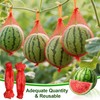 TZEKING Pack of 100 Watermelon Nets for the Garden, Thickened