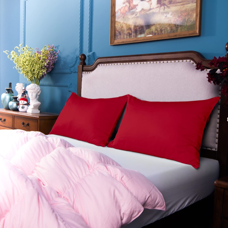 NTBAY 2 Pack 500 Thread Count 100% Egyptian Cotton Pillow