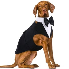 IDOMIK Dog Tuxedo Suit for Small Medium Large Dogs, Formal Dog Tuxedo Vest Suit with Detachable Bow Ties Collar & Bandana Scarf Set, Dog Wedding Attire Shirt for Birthday Party Costume Black