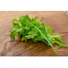 CEMEHA SEEDS - Seeds Arugula 20 Days Duckweed Little Hogweed