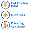 Globe (4 Pack) Hydrocortisone Maximum Strength Transparent Ointment 1%,1 oz,