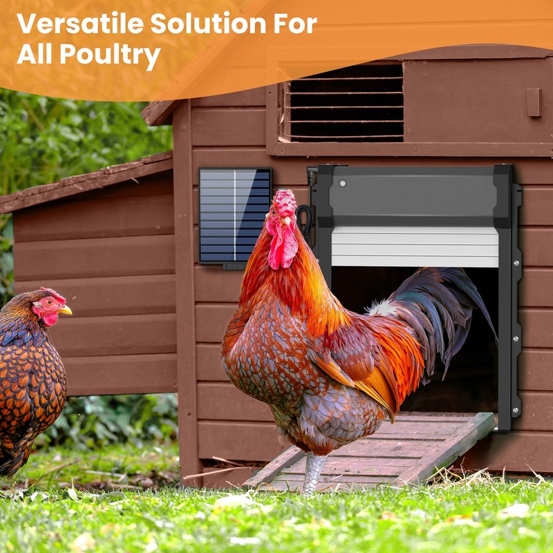 Automatic Chicken Coop Door with Timer & Light Sensor, Chicken