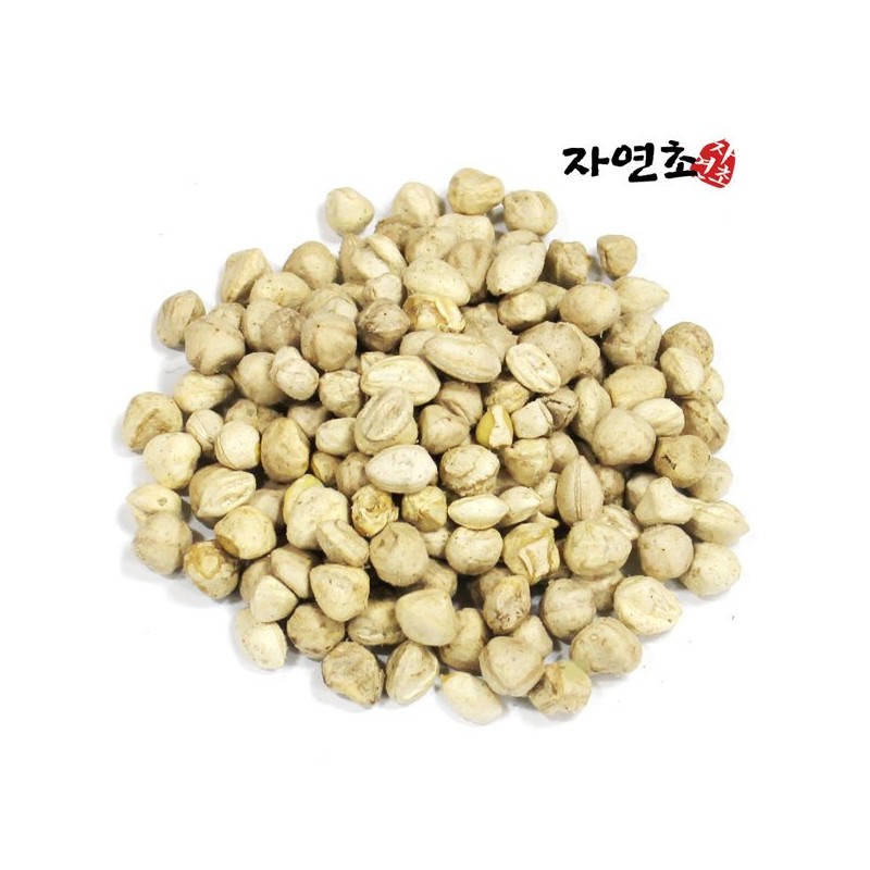 모링가씨앗 500g(250gX2개) 모링가 속씨앗 Moringa Seeds 500g (250g X 2)