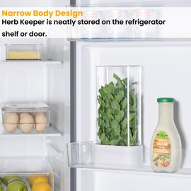 vacane Herb Keeper for Refrigerator, Fresh Herb Saver Herb Storage Containers, Cilantro Container for Fridge Asparagus Container, Dishwasher Safe-2 Pack
