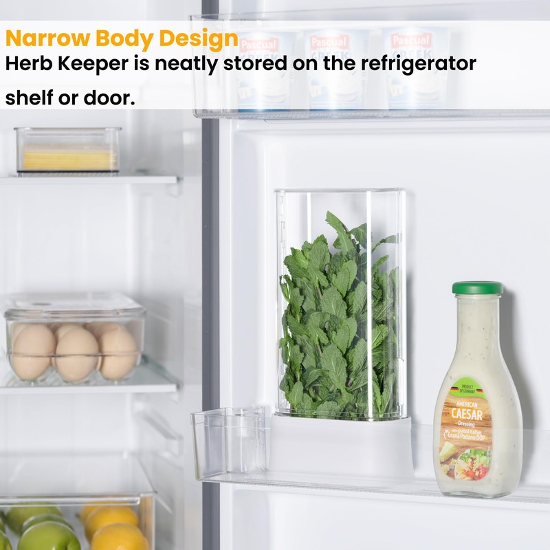vacane Herb Keeper for Refrigerator, Fresh Herb Saver Herb Storage