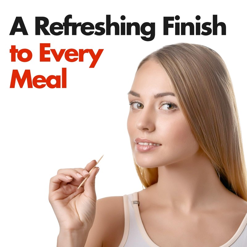 HotLix Mint Toothpicks (20 Pack, 400 Total), Mint Flavored Toothpicks,