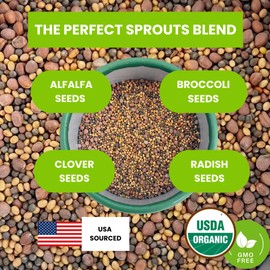 ZestiGreens Fresh Sprouting Seeds Mix Broccoli, Alfalfa, Radish, Clover Seeds in Food Grade Colorful Container with Lid for Easier Scooping & Keeping Fresher (0.5 lb)
