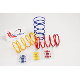 motoritec Performance Spring set for 50cc 2T minrelli scooter 1E40QMB Roketa Vento US
