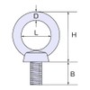 Himejiya IB-12M Stainless Steel Eye Bolt #12 (Nominal 0.5 inches