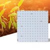 LED Grow Light Red Blue Full Spectrum 81 LEDs Grow
