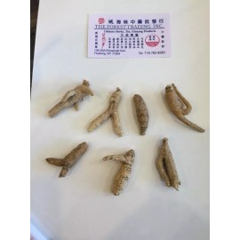 Wisconsin Farms Ginseng from Wisconsin USA 7 years 1LB Strand #3