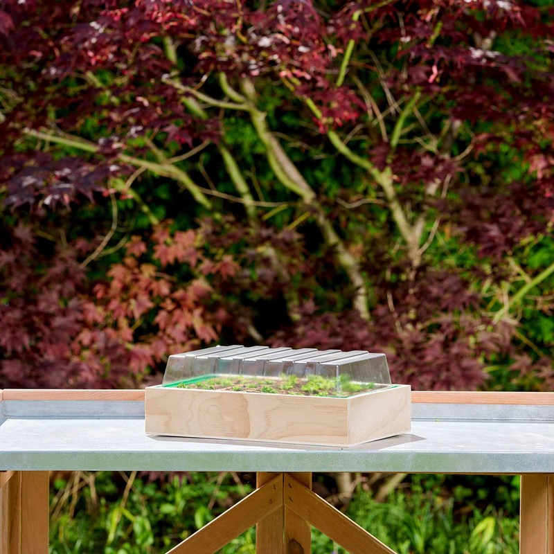 Romberg Wooden Cultivation House M 37 x 24 x 13