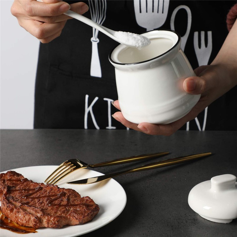 HAOTOP Porcelain Salt Bowl with Lid and Spoon,Ceramic Sugar Bowl