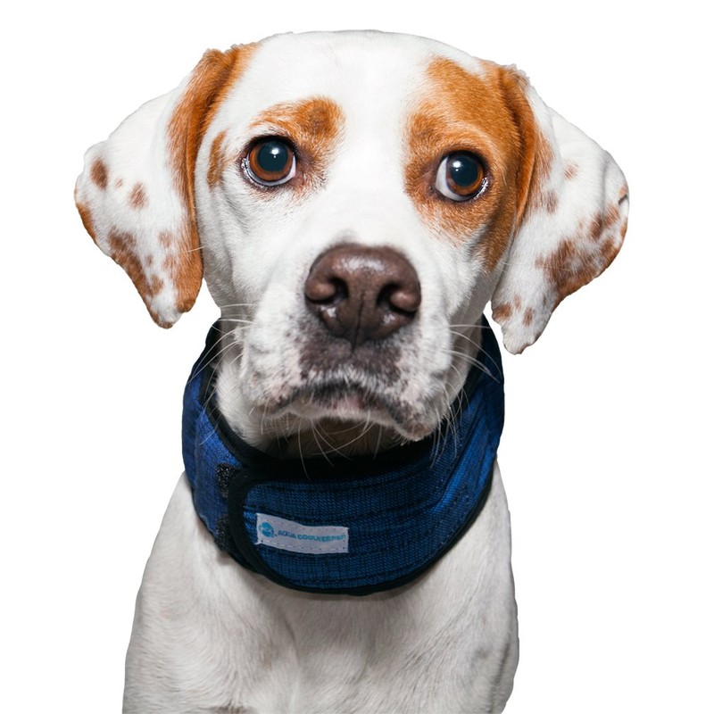 Aqua Coolkeeper Pacific Necklace Refreshing, Blue