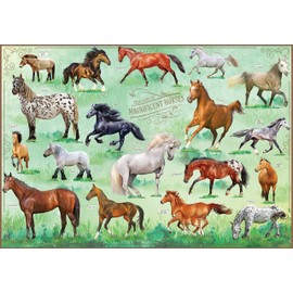 Horses Jigsaw Puzzle, 500 Pieces - Magnificent Horses, 20" x 14" - Includes 32 Page Pocket Field Guide Booklet - Gift for Horse Lovers, Teens, Adults, Men, Women