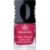 alessandro 909 Juan's Kiss Nail Polish 10ml