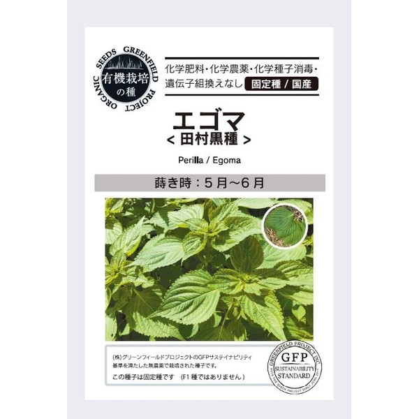 Green Field Project Eggoma <Tamura Kuroseed> A502 Yellow