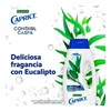 Palmolive Caprice 2 Pack PALMOLIVE CAPRICE LIMPIEZA FRESCA EUCALIPTO SHAMPOO