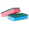 Spontex Essentials Sponge Scourers - 12 Packs of 10 (Total