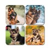 4 x Square German Shepherd Coasters - Dog Puppy Animals