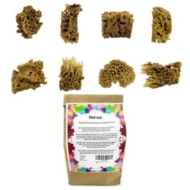 NAROA Artist Natural Sea Sponges for Painting | Unbleached Unique Sponges Set | Acrylic Watercolor, Marbling, Texturing, Pottery, Ceramics (8 pcs Pack - Small)