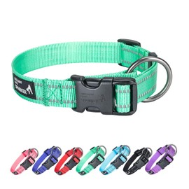 EXCELLENT ELITE SPANKER Nylon Dog Collar, Adjustable Reflective Dog Collar, Dog Collar for Small Dogs for Training, Running (Green, S)