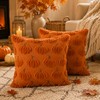 Pumpkin Fall Pillow Covers 18x18In Set of 2 Orange, Ultra